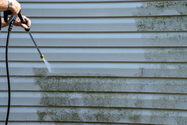 Best Garage Cleanout  in Lady Lake, FL