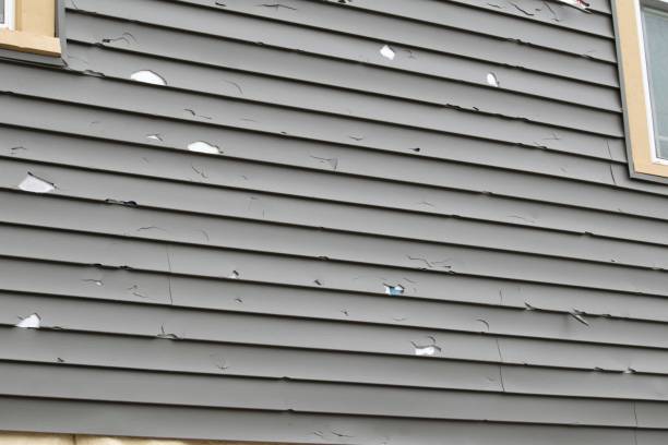 Best Demolition Debris Removal  in Lady Lake, FL